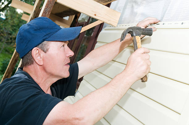 Best Siding Painting and Refinishing  in Doctor Phillips, FL