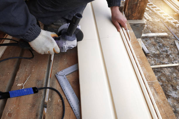 Best Siding for New Construction  in Doctor Phillips, FL