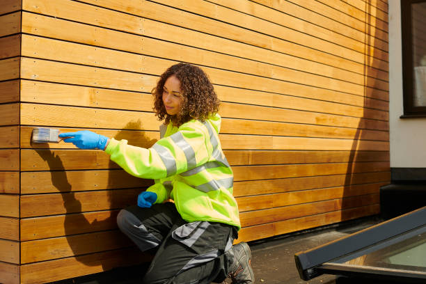 Best James Hardie Siding  in Doctor Phillips, FL