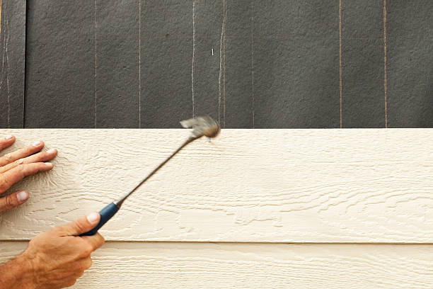 Best Stone Veneer Siding  in Doctor Phillips, FL